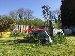 Garden sculpture - Roe deer Devon