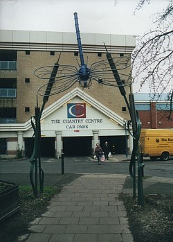 Dragonfly archway - Andover Town Centre, Hampshire