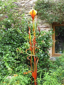 Upright plant form - Modbury, Devon