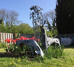 Roe Deer ensemble in a Devon Garden - Halwell