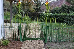 Gate and fencing to blend in after shrub planting had taken place